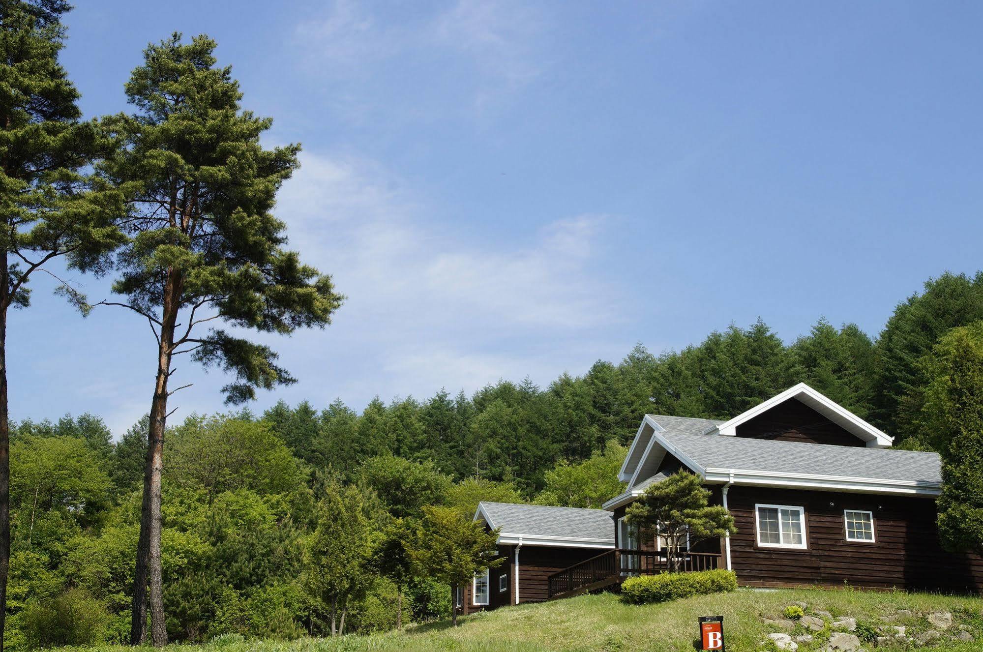 Resort Feliz Pyeongchang Eksteriør bilde